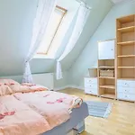 Haus-strandlaeufer *