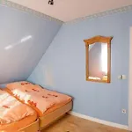 Haus-strandlaeufer