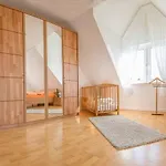 Haus-strandlaeufer