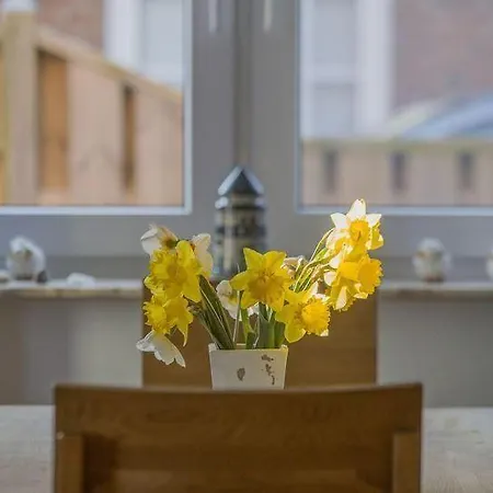 Haus-strandlaeufer * Нордштранд