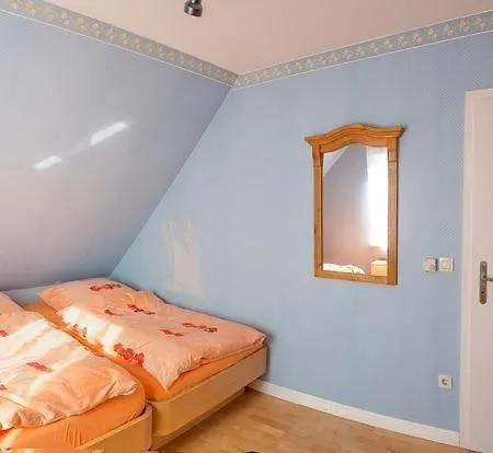 Haus-strandlaeufer *